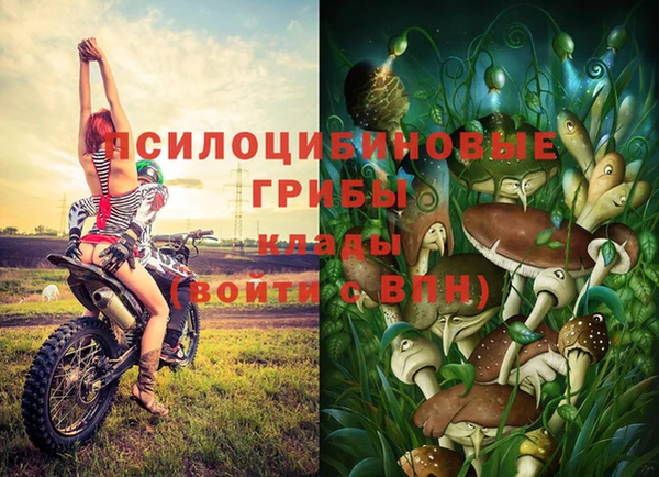 мяу мяу мука Михайловск