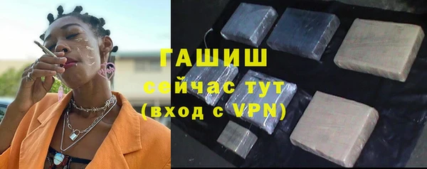 амф Гусев