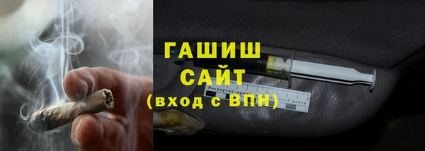 амф Гусев