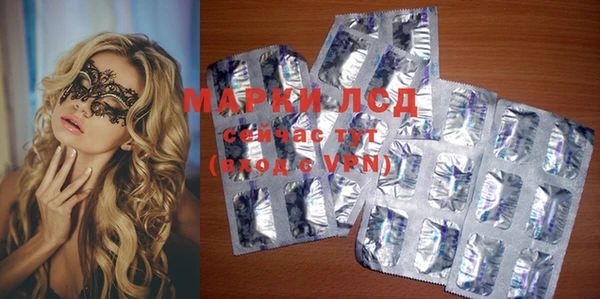 гидропоника Гусиноозёрск