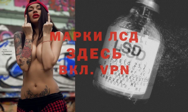гидропоника Гусиноозёрск