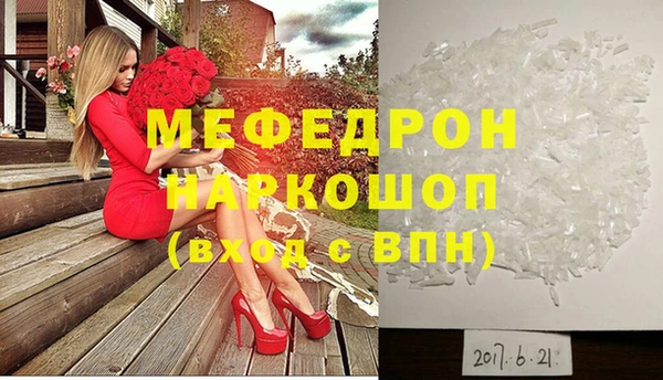 амф Гусев