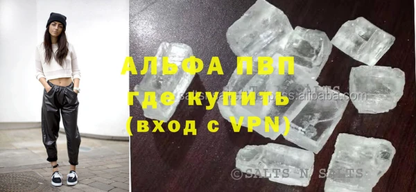 амф Гусев