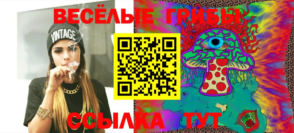 Псилоцибиновые грибы Psilocybe Дедовск