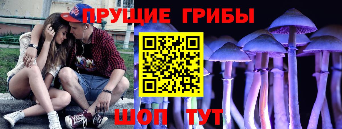Галлюциногенные грибы ЛСД Дедовск