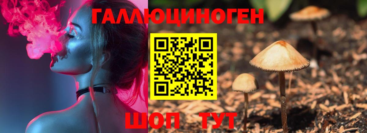 Галлюциногенные грибы Cubensis  Вход с VPN  Дедовск 