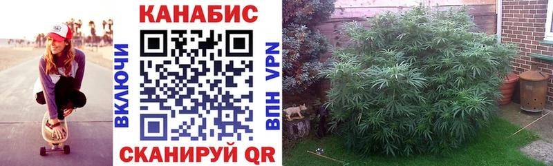 Канабис White Widow Дедовск